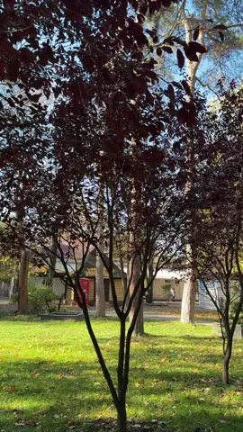 Невдало заміж вийшла