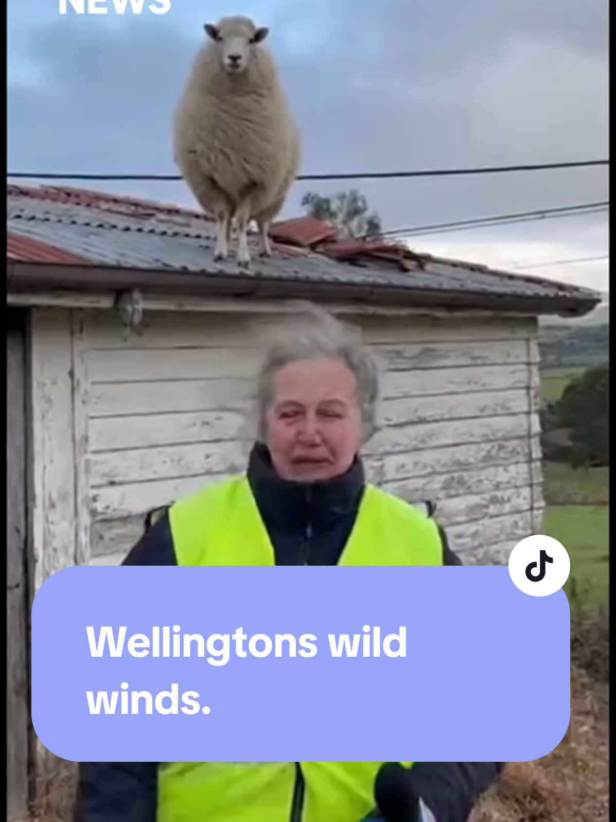 the Aftermath in New Zealand Southland #news #newzealand #comedy 