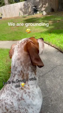 #onthisday #g7 #g1 #fyp #grounding 