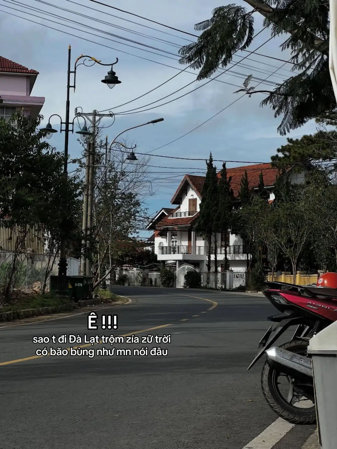 #dalat #dalatreview #tiemlaunhodalat #dalatangi #xuhuong 