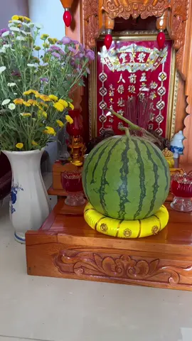 Trả lời @Ka ka🍀 Cặp đế chưng trái cây mẫu mới 2026 có đèn đường kính 15cm #dechungdua #dechungtraicay #dechungduahau #tet2026 