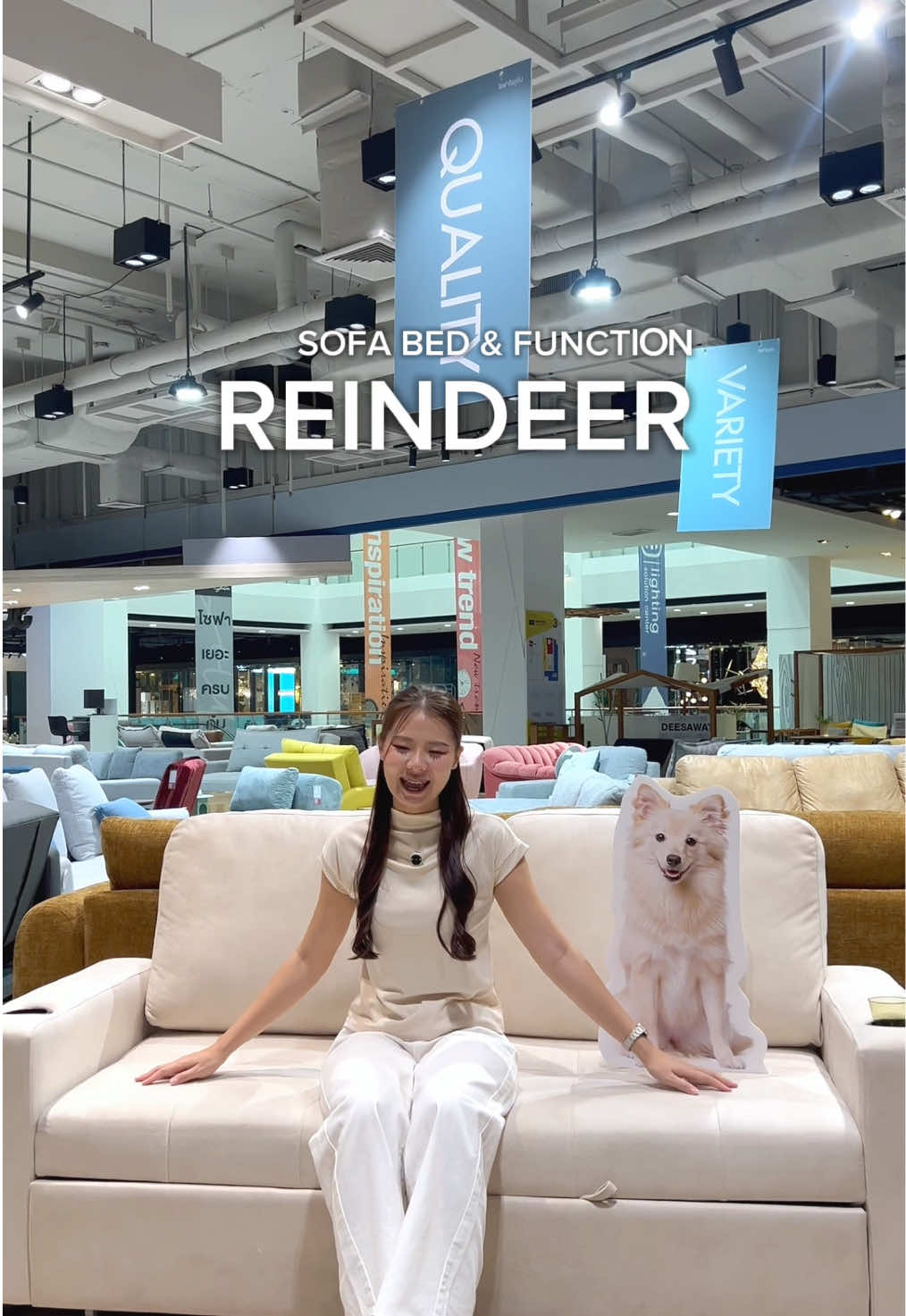 “บ้านไหนมีน้อง ๆ อย่าเลื่อนผ่านน้าา 🐶🐱  นี่เลย! Sofa Bed รุ่น Reindeer โซฟาคู่ใจของทุกบ้าน 💕  นั่งก็ฟิน เอนก็สบาย นอนได้เต็มที่ ปรับได้ถึง 4 ระดับ!  หุ้มผ้า Pet-friendly ปลอดภัยต่อน้อง ๆ ไม่ต้องกลัวขนติดหรือรอยข่วนเลย~  มีให้เลือกถึง 4 สี: เทา ครีม น้ำเงิน น้ำตาล 🤍💙🤎 มาเติมเต็มมุมอบอุ่นให้บ้านด้วย Reindeer กันเถอะ 🛋️✨” #SofaSolutions #SBDesignSquare #โซฟาเยอะครบคุ้ม  #โซฟา #สัตว์เลี้ยง 