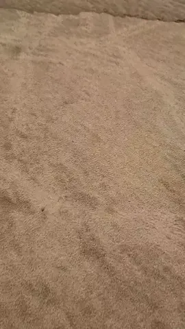 #senja #kumohonkembalilahdalampelukanku #fyppppppppppppppppppppppp #trending 