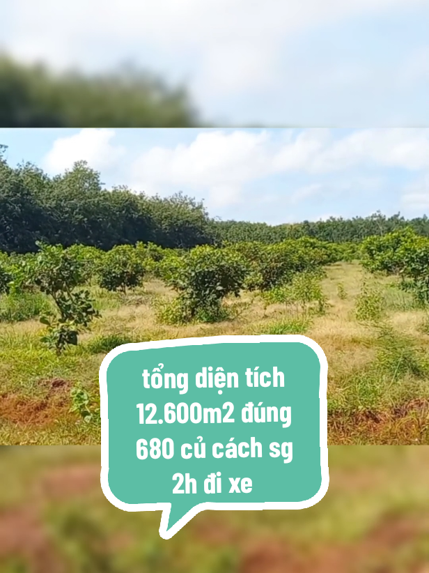 lh dép lào @0908//0727//88 #nhavuon #nhavuongiare #tphcm #datsaogiare #hanoi 