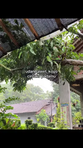 tapi koe ora cinta🙂‍↔️