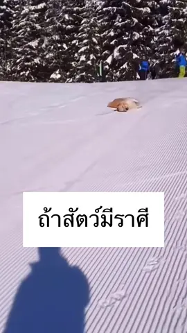 Ep2 ดูดวงส่วนตัว 👉 ลิ้งหน้าโปรไฟล์ #foryoupage #ทำนายราศี#ทํานายราศีง ##fyppppppppppppppppppppppp