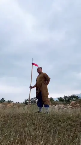 中国功夫十八般武艺每天更新 #martialarts #JackieChan #Chinese Kung Fu#kungfu