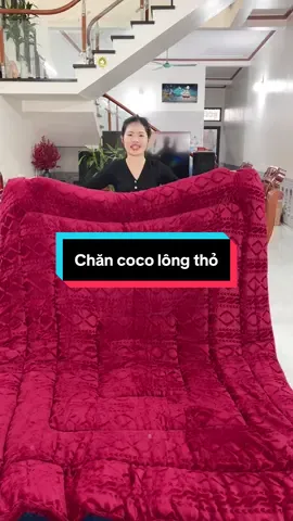 Chăn nỉ lông thỏ Coco giá mềm đắp siêu ấm #buithituoi1197 #chanlongthococo #chancocolongtho #chanmuadong 
