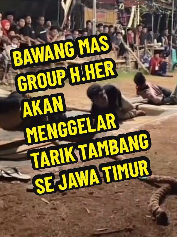 #BAWANG MAS GROUP H.HER AKAN MENGGELAR TARIK TAMBANG SE JAWA TIMUR #bangnikmatmadura #