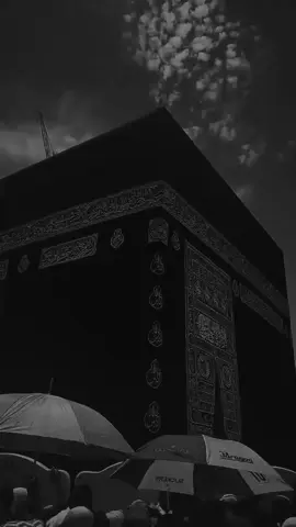 اللهم علمنا ماينفعنا وانفعنا بما علمتنا  #دعاء_يريح_القلوب_ويطمئن_النفوس 