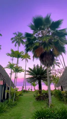 One morning in Fiji 🥹🌴 #fiji #morning #view #tropical #nature 
