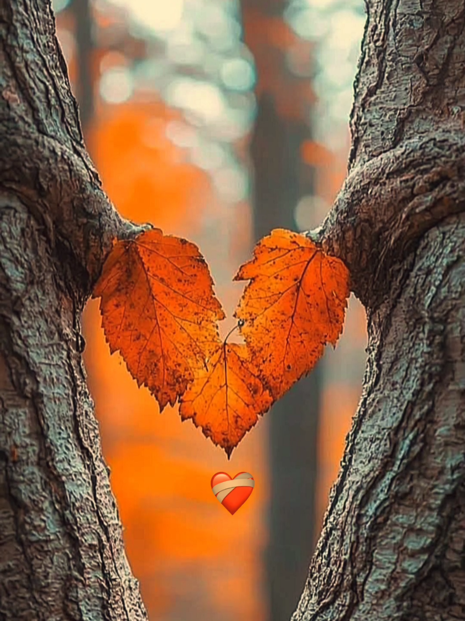 المسامحة سهلة الصعوبة في استعادة المكانة 🍂❤️‍🩹 وعتابا على قلبي عتابا  #عبارات_جميلة_وقويه😉🖤_عبارات_هادئة_ثقة_غرور_كبرياء_نرجسية_حملة_حلب#جمعة_مباركة_قهوة_فيروز#ستوريات_انستا_بنات_ترند_حب_لزوجي_لحبيبي_لاخي#حالات_واتس_حزينه💔#ستوريات_حزينة_بنات_ستوريات_حب_عشق_خواطر_اقتباسات_اغاني_تركية_مترجمة_مش