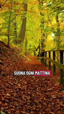 Messaggio del giorno; la vita a volte può essere tanto faticosa e il tempo passa e le difficoltà continuano, pero tu sei forte e vai avanti non ostante le difficoltà perché sai che non c’è un vincitore senza una battaglia #spiritusitalia #mesaggiodelgiorno #riflessioni #pensieripositivi 