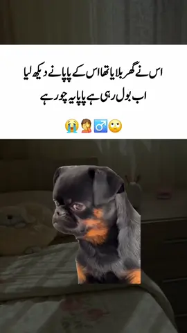 ##fyp #foryou #funny #trending #viral 