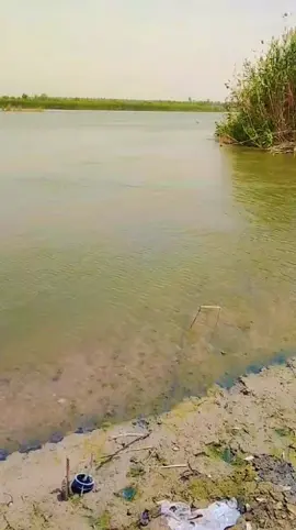 #بلجيكا  الصويرة نهر دجلة #العراق المانيا بلجيكا 