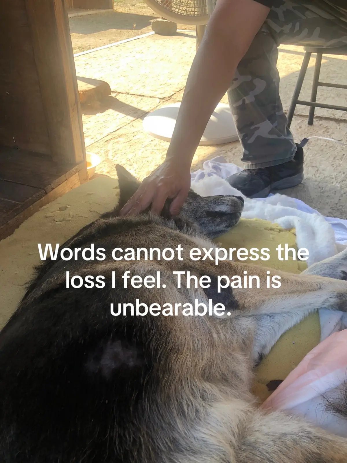 The pain I feel , there are no words . 