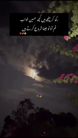 تم مل جاؤ مجھے ملنے والوں کی طرح میں تمہیں سمبھال لوں گی سنبھالنے والوں کی طرح  😫🌙🤌🖤  #foryou #foryoupage #fyppppppppppppppppppppppp #fypage #fypシ゚ 