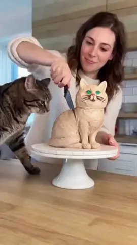 Cutting the cat cake in front of the cat#funnycats #funnyanimals #petvideos #cat #catsoftiktok   