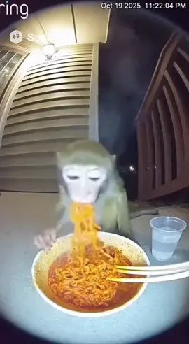 lapar apa doyan nyet 😭😭 #sakitperutkuketawaa😂😂😂 #ngakak #kocakngakak #funnymoments #fyppp 