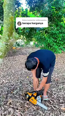 Membalas @aidiesaputra harganya murah gergaji senso ini bisa potong pohon besar #gergaji #senso #gergajikayu #gergajimesin #perkakas 