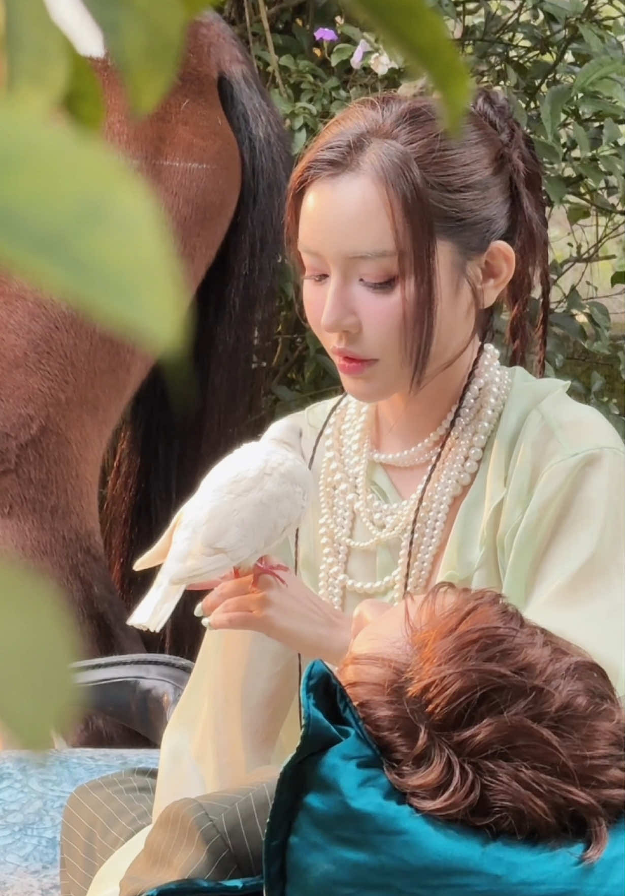 Cảm ơn 🐎 và 🕊️  #bichphuong #thuong 