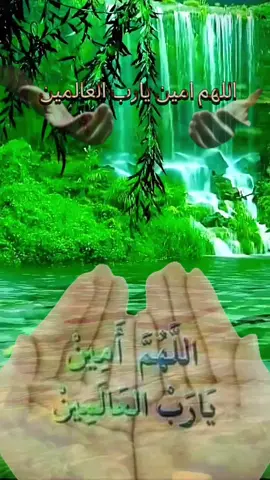 #القران_الكريم اللهم امين يارب العالمين @hanan @Amina @محمدعلي》𝐌𝐔𝐇𝐀𝐌𝐌𝐄𝐃𝐀𝐋𝐈 @نادر عبدالرحمن @احـــمــد @──⃜⃜͢͢⎼⎼⎼⃡⃝দুই দিনের⑅⃝দুনিয়া❀ @quran_is_life14 @حبر الماضي @محمدعلي》𝐌𝐔𝐇𝐀𝐌𝐌𝐄𝐃𝐀𝐋𝐈 @🌴♡❁ 𝐐𝐔𝐑𝐀𝐍𝐄 ❁♡🌴 @🌴_✫(❁_𝑸𝑼𝑹𝑨𝑵_❁)✫_🌴 