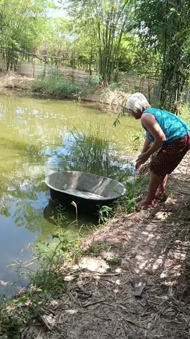 คลิปตลกขำๆ #funny #comedy #jajaja #kkkkk #ยายเห็ดหอม 