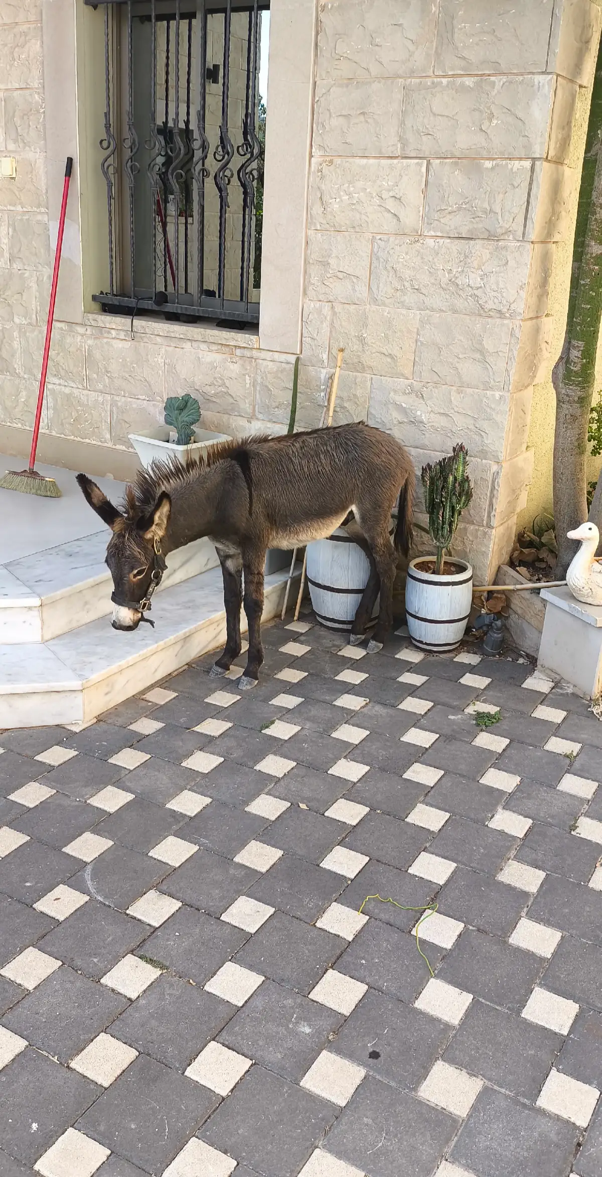 #منشن_صاحبك😂😂 