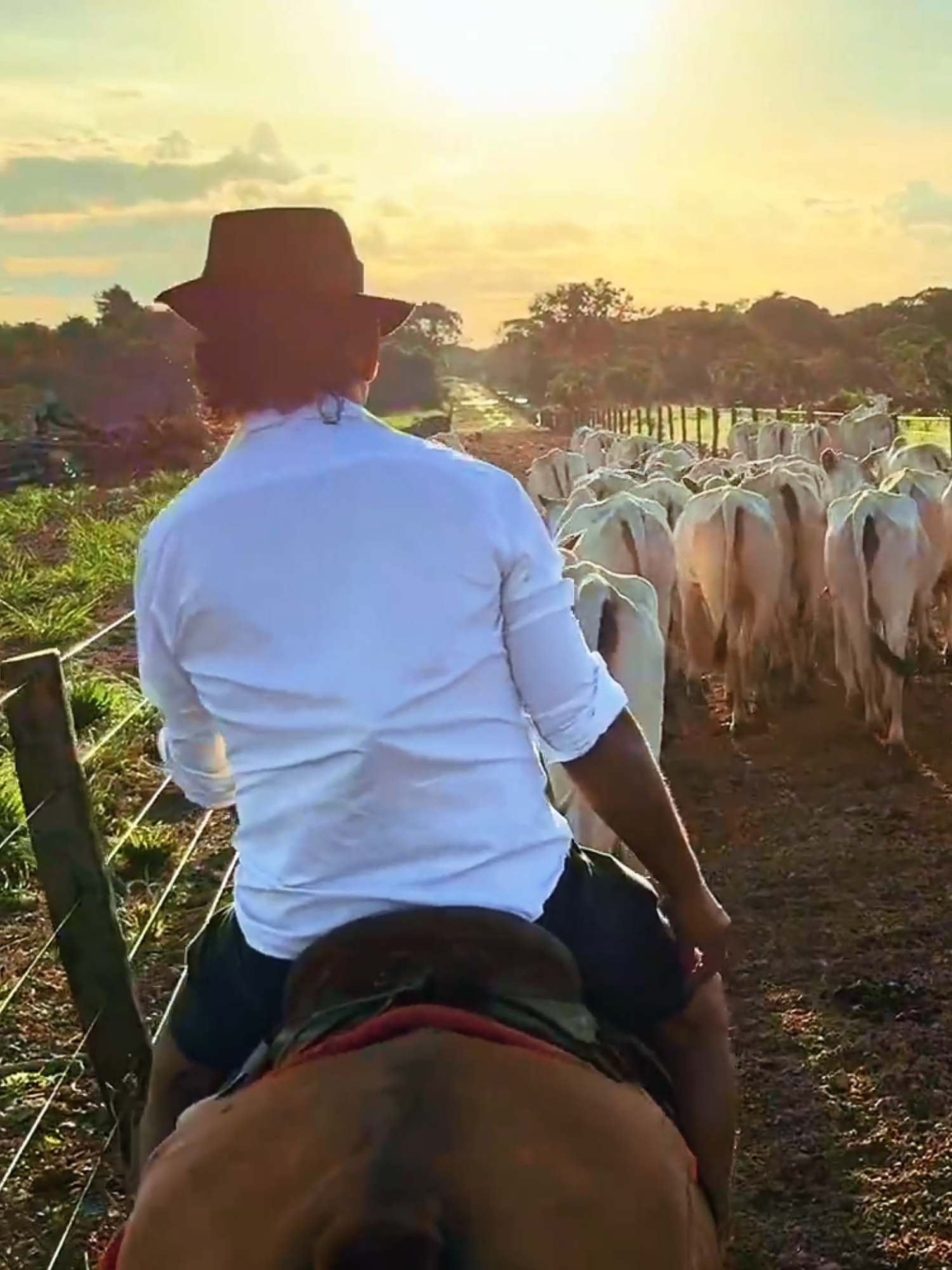 TiringaSmemes e a homemagem para melhor humor do Brasil, Charlles e Tiringa. #memes #tiringa #tiringaoficial #charllesrekson #piada #comedia #comediahumor #humor