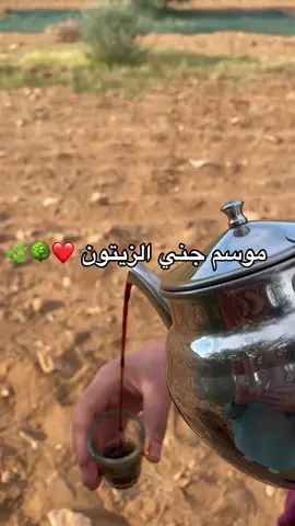 #تونس_المغرب_الجزائر 