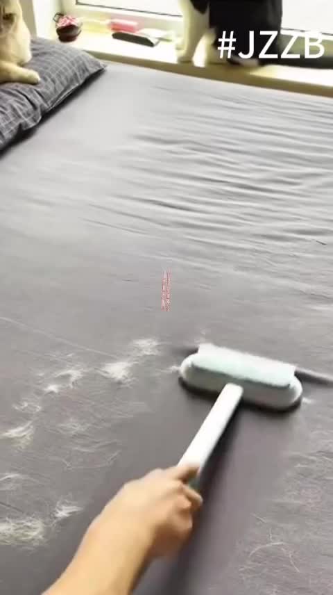 ¡Aspiradora de pelo! 🧹 Diseñado específicamente para sacar ese pelo obstinado de tapicería y alfombras. ¡Cuatro cabezales para cada superficie! Limpieza fácil y rápida para un hogar impecable. #LimpiezaHogar #PeloDeGato #TrucosDeLimpieza #DiadeMuertosTikTokShop #CatrinaChallengeTikTokShop