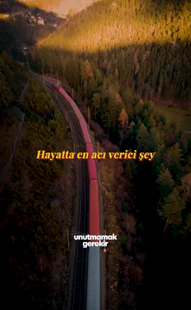Hayatta en acı veren şey, birinin varlığına alışıp sonra bir gün onsuz kalmaktır. O sessizlik, bir zamanlar var olanın yankısı gibi kalır insanın içinde. Herkes der ki; “İnsan kaybedince anlar değerini.” Ama aslında hayır… İnsan bazen, o kişi hâlâ yanındayken bile fark edemez onun kıymetini. Bir gülüşün, bir sesin, bir dokunuşun, hatta bir sessizliğin bile ne kadar huzur verdiğini, ancak o huzur kaybolduğunda anlarsın. Oysa sevgi, fark edilmediğinde bile güçlüdür. Kalbin en derin yerinde, sessizce yaşamaya devam eder. Ve bir gün geriye dönüp baktığında anlarsın… Keşke biraz daha söyleseydim, biraz daha sarılsaydım, biraz daha belli etseydim diye. Çünkü en büyük pişmanlık, sevdiğini sevdiğin kadar gösterememektir. Varlığıyla hayatına anlam katan insanlara, geç olmadan kıymet ver. Zaman alır, hayat değişir, ama “keşke”lerin ağırlığı hiç geçmez. #unutmamakgerekir #keşfet #anıyakala #pesetme #anlık #benimhayatım #vazgeçmekyok #başarı #başarılı #yoladevam #acı #acısözler #acımasızhayat #öfke #yalnızlık #vazgeçme #düşmek #sözlerköşkü #keşfettreni #başari #başarılıolmak #hayatakarken #keşfetteyiz #sabır