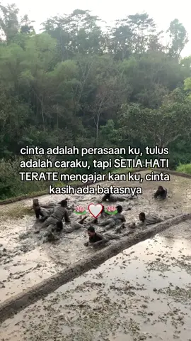 #psht #xybca #pshtponorogopusatmadiun  #fyp #pshtindonesia22 