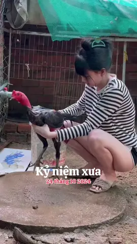Muốn tìm e cứ lên mạng tìm nha 🤣