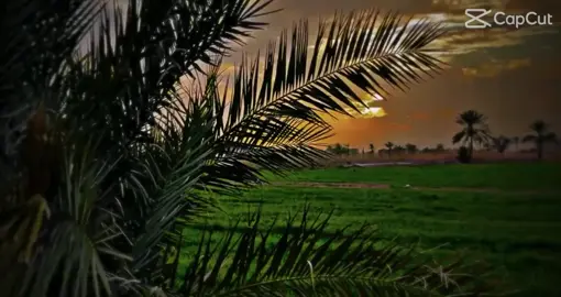 تصويري # تصميمي # اسمع اياد عبدالله # شيكول # خلي #لايك #تعليق #حلو #حلو #مثلك ♥🌷