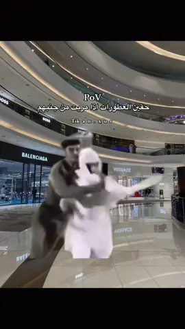 #اكسبلور #رياكشن #ميمز #fyp 