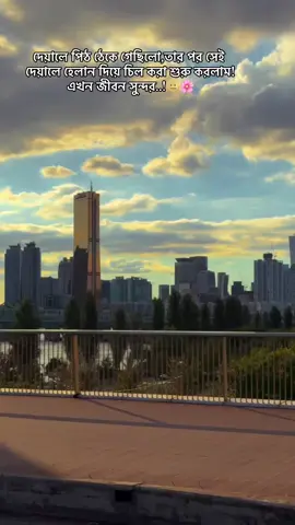 দেয়ালে পিঠ ঠেকে গেছিলো,তার পর সেই দেয়ালে হেলান দিয়ে চিল করা শুরু করলাম! এখন জীবন সুন্দর..!🫥🌸