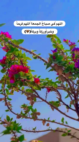 #جزء 372 |#تصويري_احترافي_الاجواء👌🏻🕊 #عباراتكم_الفخمه📿📌 #لايك_متابعه_اكسبلور_لو_عجبكم #قناتي_تليجرام_بالبايو💕🦋 