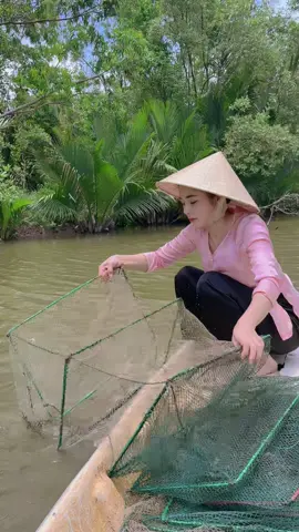 Đi bắt cua #mientay #batcua 