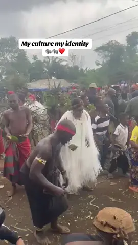 #bakwericulture #dance #bakweri #cameroontiktok🇨🇲 #f   The Bakweri traditional  dance🐘🐘Malye ❤️