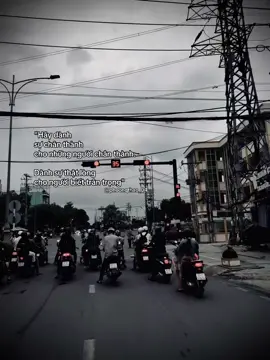 hoa bất tử #xuhuongtiktok #tamtrangbuon #tranbi 