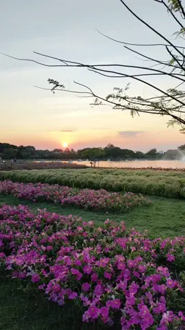 สวนหลวง ร. 9 จ.กรุงเทพฯ #กรุงเทพ #กรุงเทพมหานคร #เที่ยว #สวนหลวงร9 #สวนสาธารณะ 