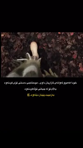 #paratiiiiiiiiiiiiiiiiiiiiiiiiiiiiiii #s #account #actives? #balleh 