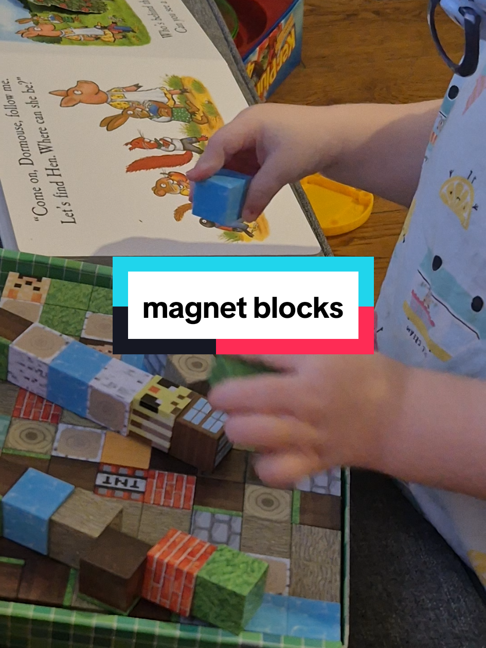 We love these magnet blocks in our house, weve got about 4 sets! Great to collect, and then you can mix and match #magnetblocks #screenfree #toys #kids #christmasshopping 