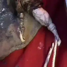 never say never to the gods.  🔥💸 