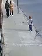 A dog saved a child from danger. - 강아지가 테러에서 아이를 구했다. #ai #animals #funny #dog