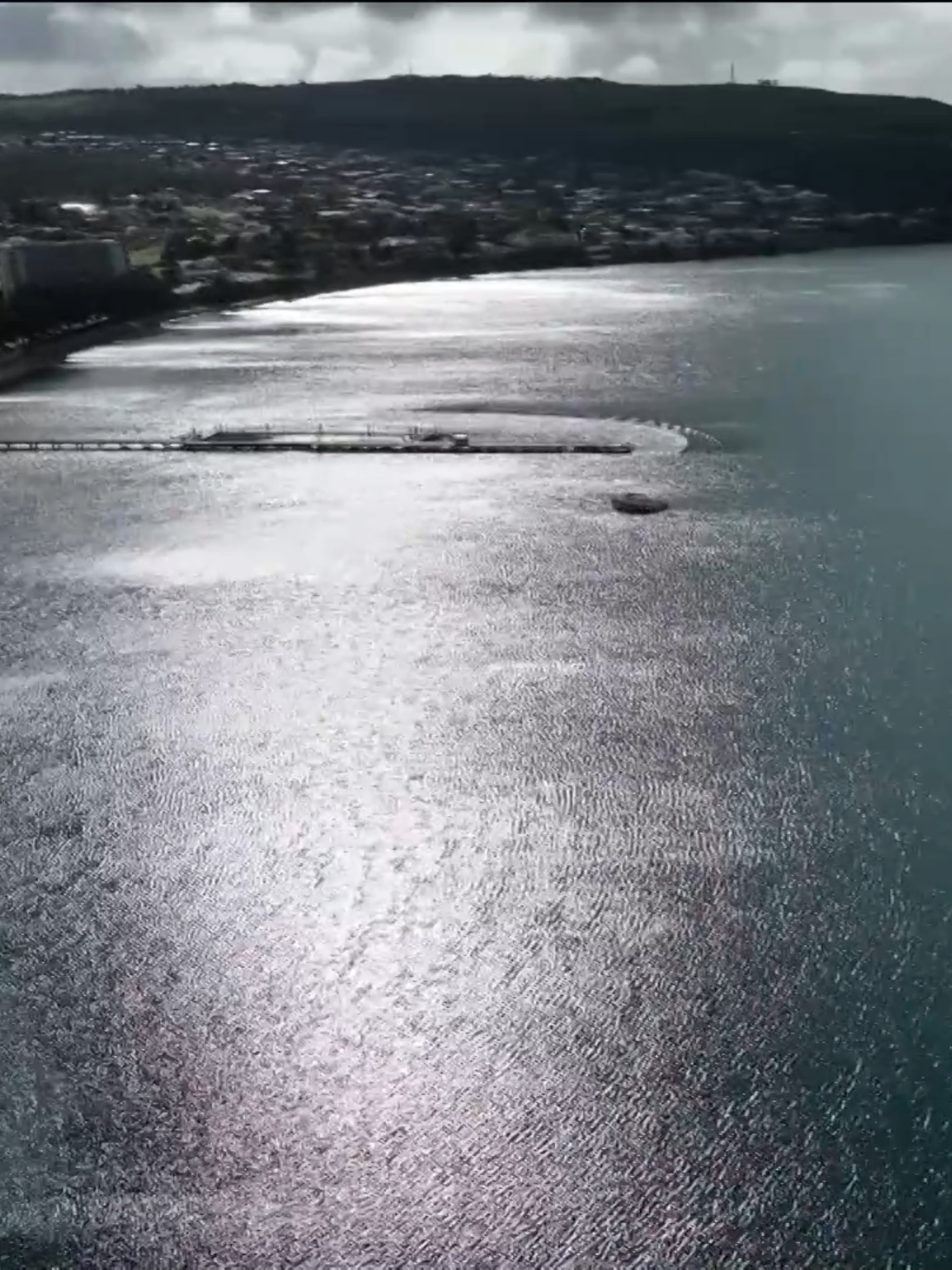 Recreational fishers are angling for a fight after authorities announced plans to halve bag limits amid the ongoing algal bloom. They say they have been encouraged to go out and fish, only to be kicked in the guts. #7NEWS