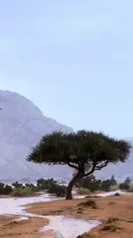 #ان_الله_وملائكته_يصلون_على_النبي #اللهم_صلي_على_نبينا_محمد 