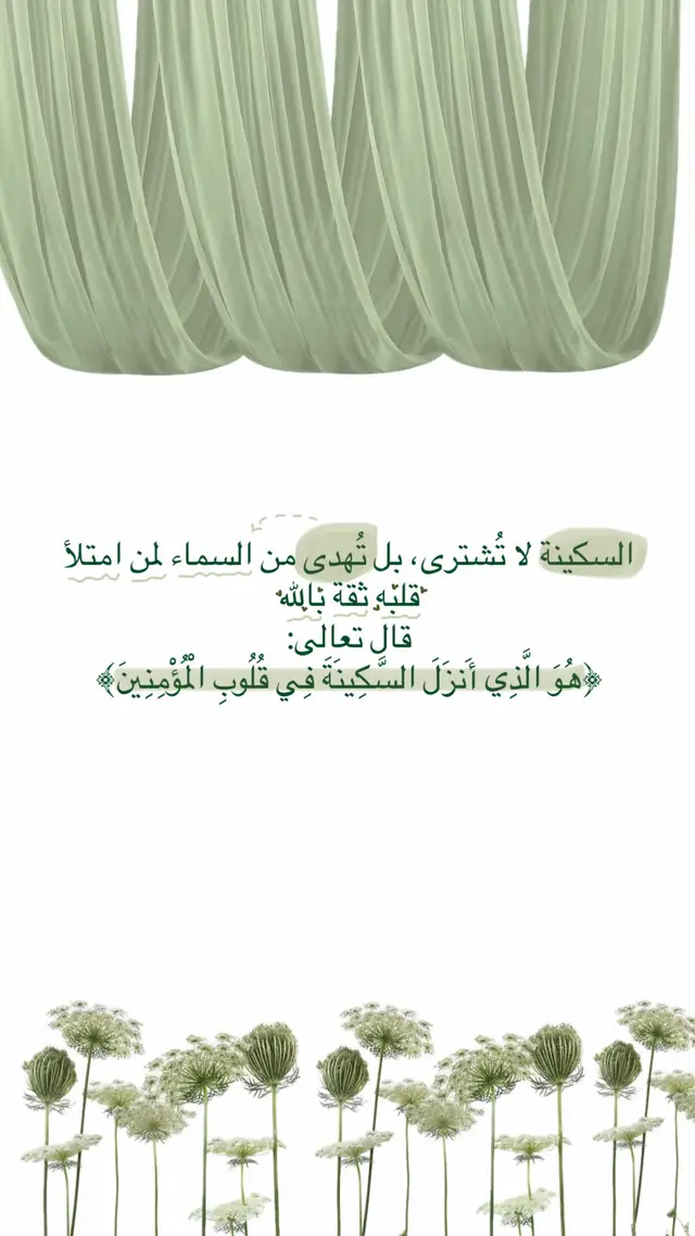 #foryoupage #explorepage #forjannah 