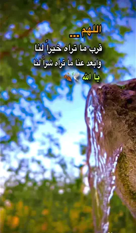 اللهــم قرب ما تراه خيراً لنا .. 🤎🍂#لايك #تصويري_احترافي_الاجواء👌🏻🕊😴 #محظورة_من_كلشي😫💔 #عادت_نشر🔁 #مشاهير_تيك_توك 